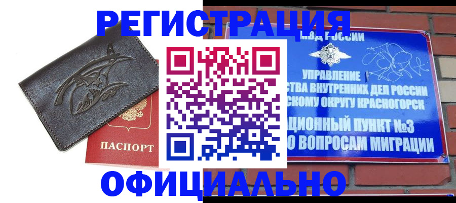 прописка для школы в Благовещенске